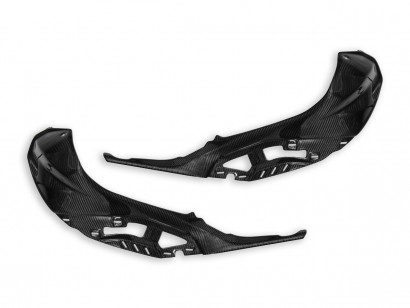 CRB138L - BMW S1000R COPRI...