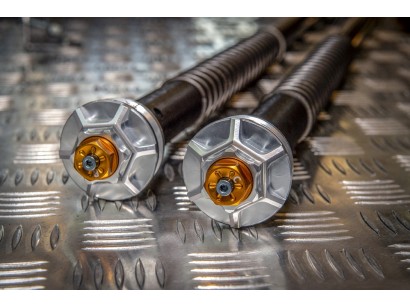 CFD105/W21E - BMW RnineT...