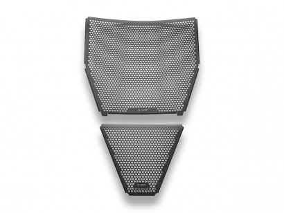 GR31 - PANIGALE V4 RADIATOR...