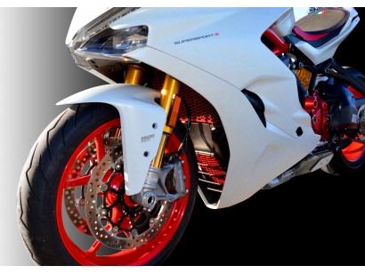 GR35 - PROTEZIONE RADIATORE...