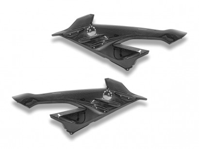 CRB219L - BMW S1000RR MY23...