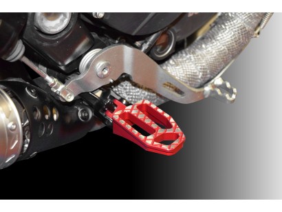 PPDV09 - PEDALI PILOTA