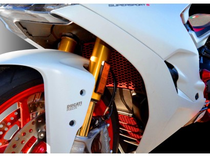 GR06 - SUPERSPORT 17 PROTEZIONE RADIATORE OLIO