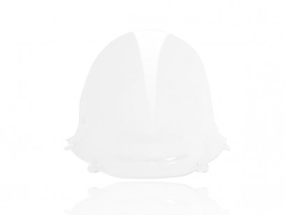 CUP11 - 959/1299 RACE HIGH WINDSCREEN